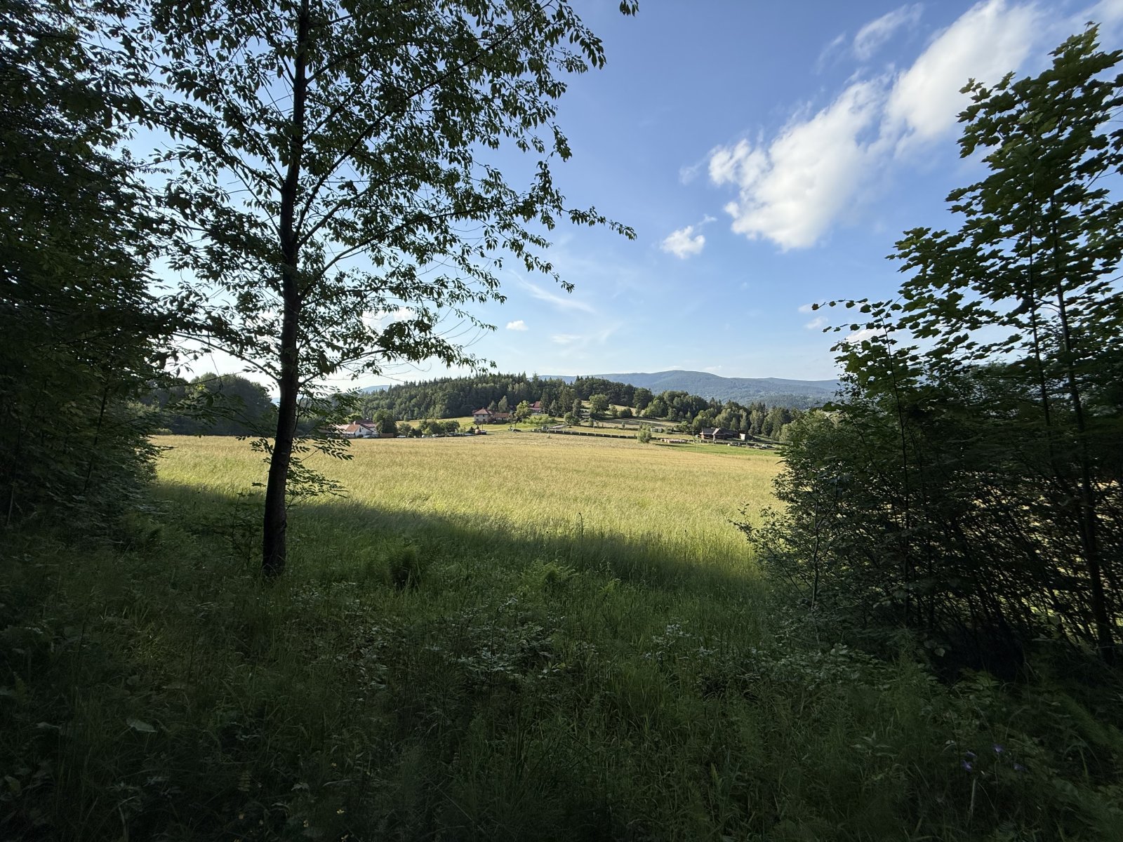 test 1